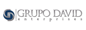 Grupo David